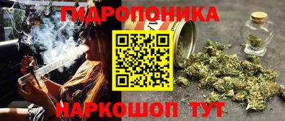 спиды Краснодар