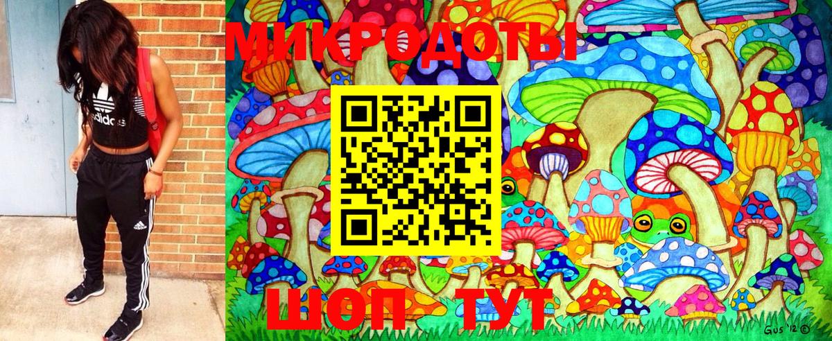 Галлюциногенные грибы Cubensis Керчь