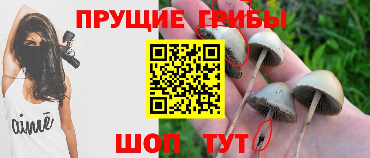 Галлюциногенные грибы Cubensis  Вход с VPN  Керчь 